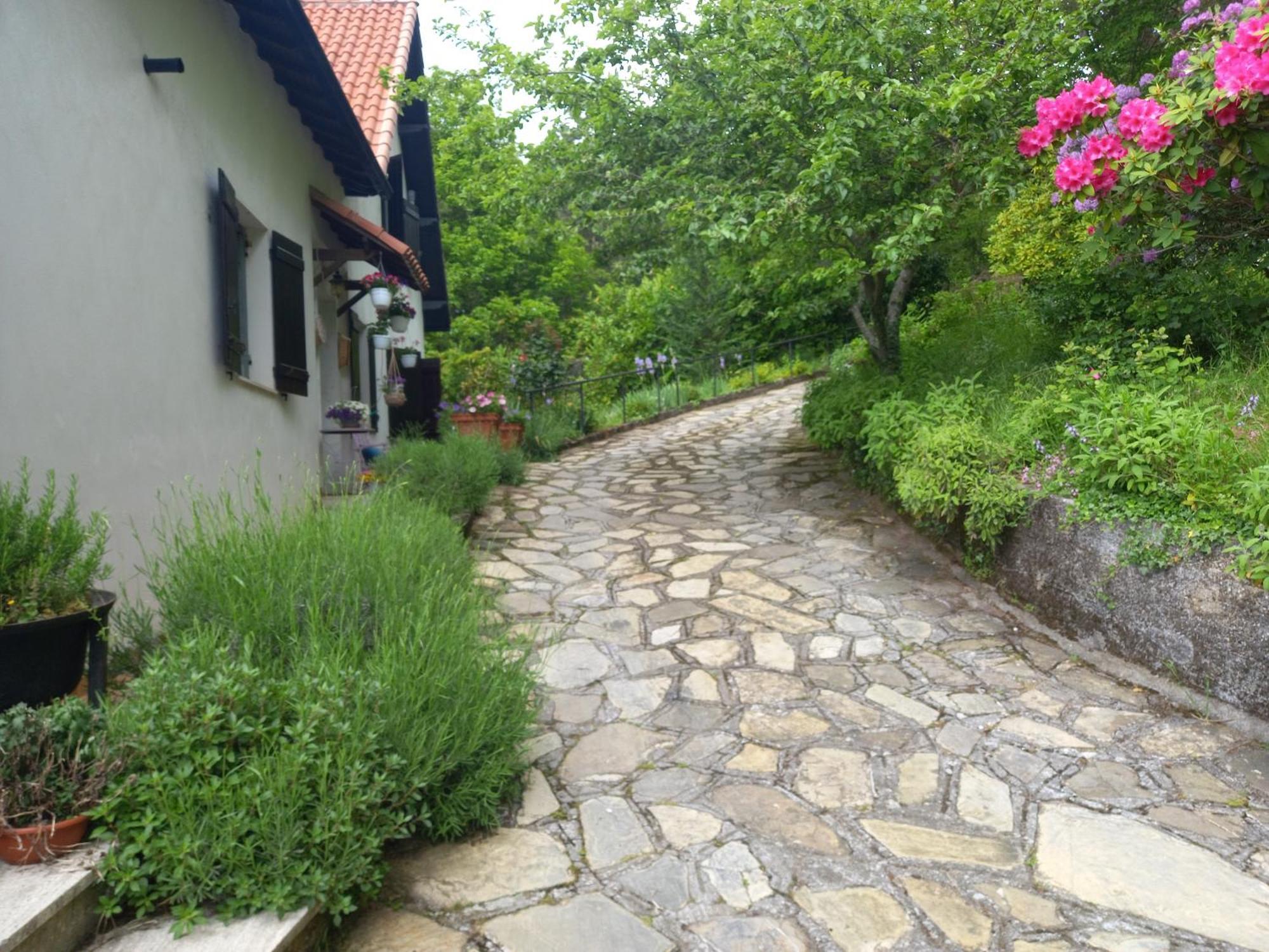 B&B Le Camelie Del Bosco Baiardo Bagian luar foto