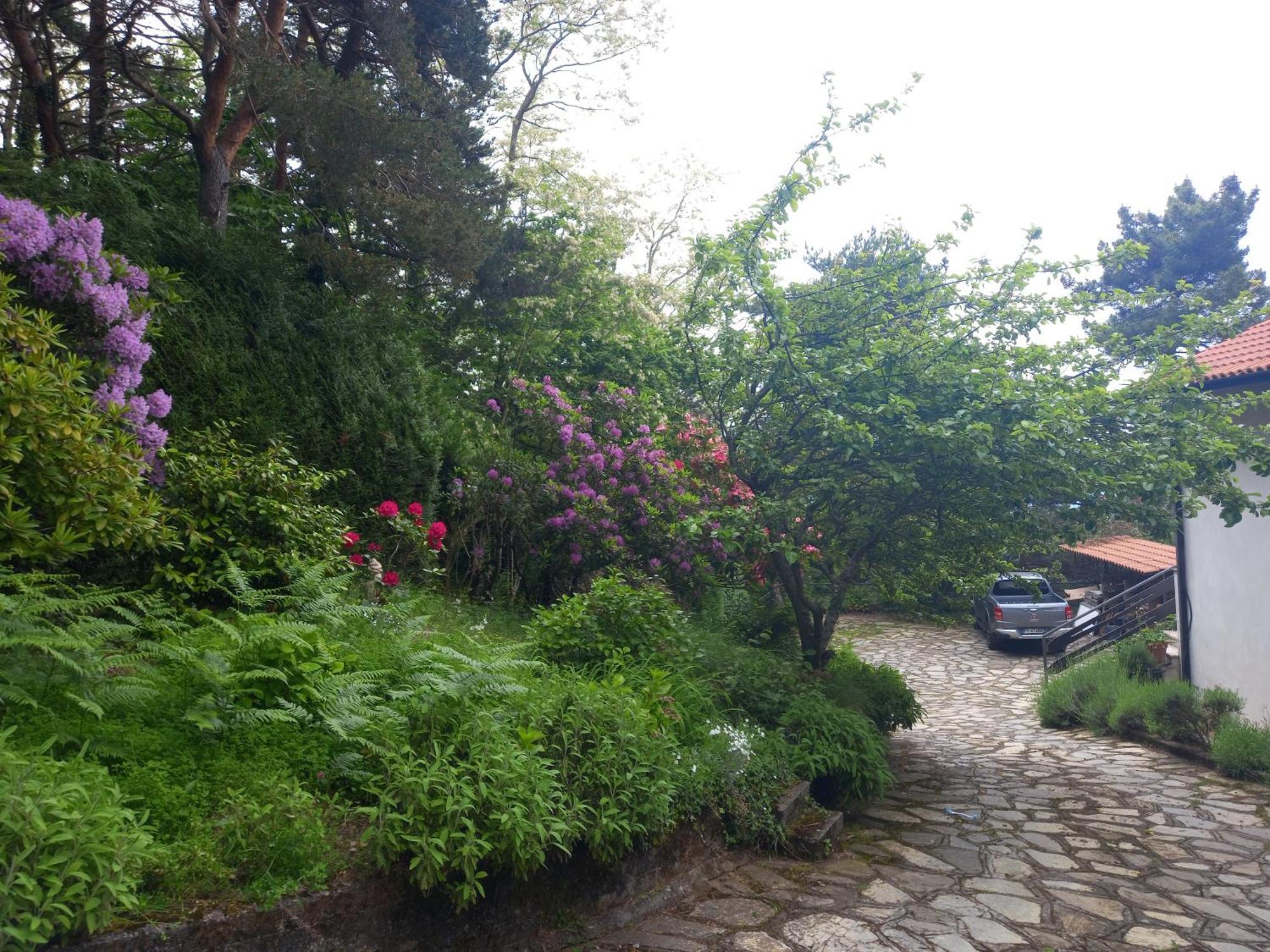 B&B Le Camelie Del Bosco Baiardo Bagian luar foto