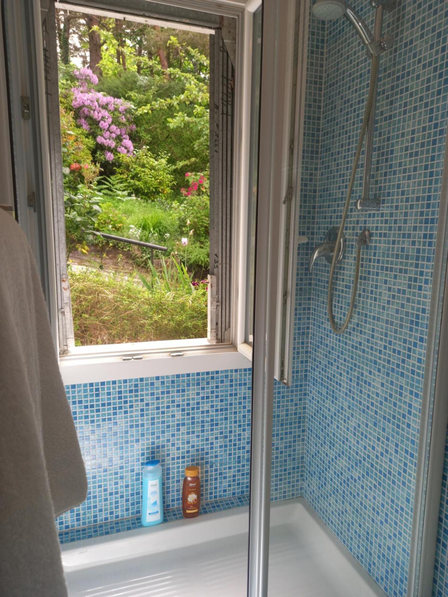 B&B Le Camelie Del Bosco Baiardo Bagian luar foto