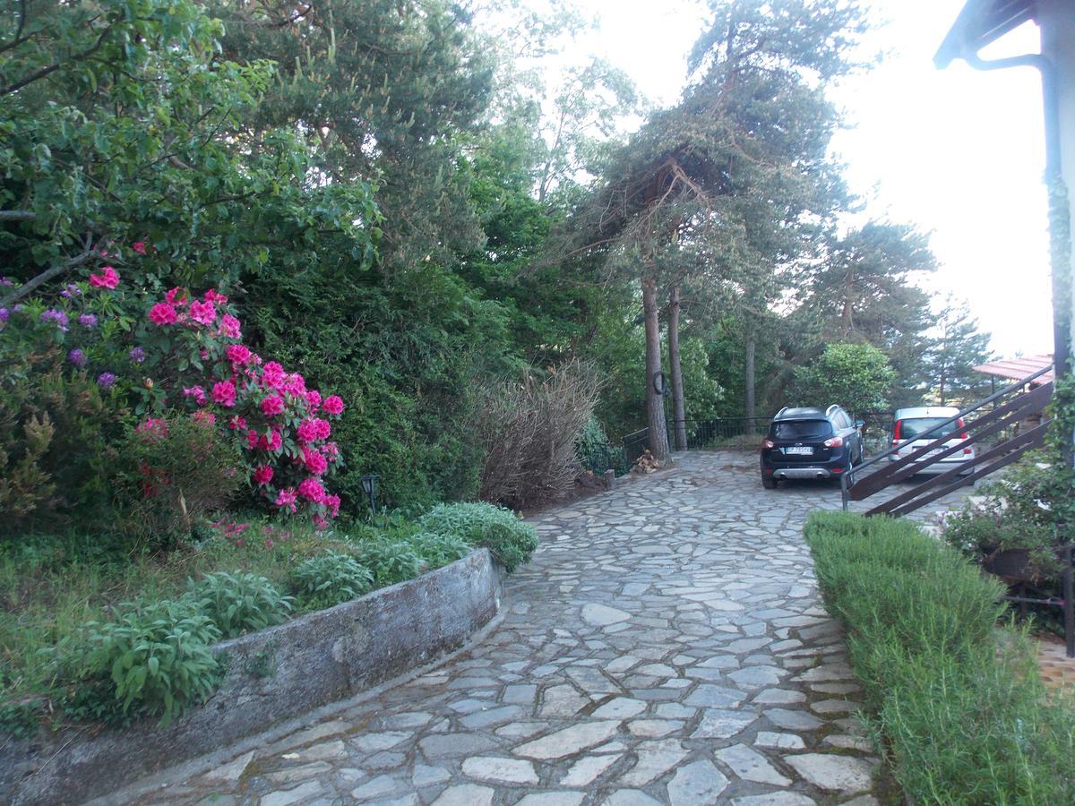 B&B Le Camelie Del Bosco Baiardo Bagian luar foto