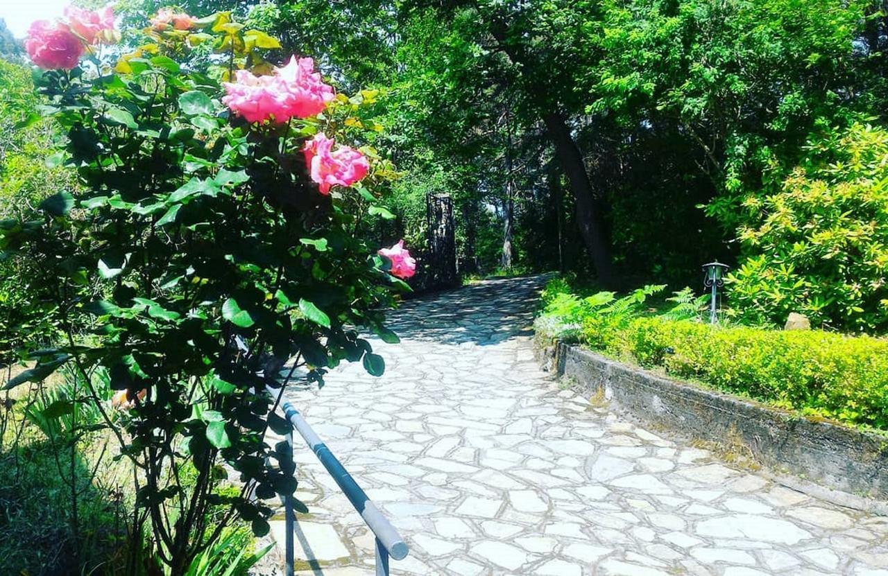 B&B Le Camelie Del Bosco Baiardo Bagian luar foto