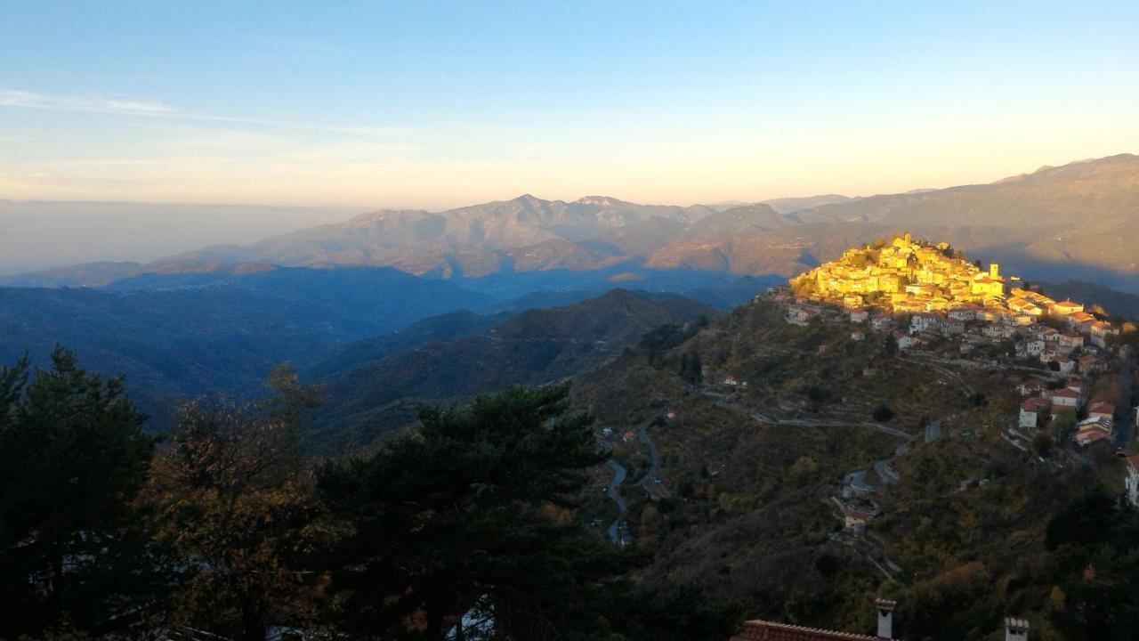 B&B Le Camelie Del Bosco Baiardo Bagian luar foto